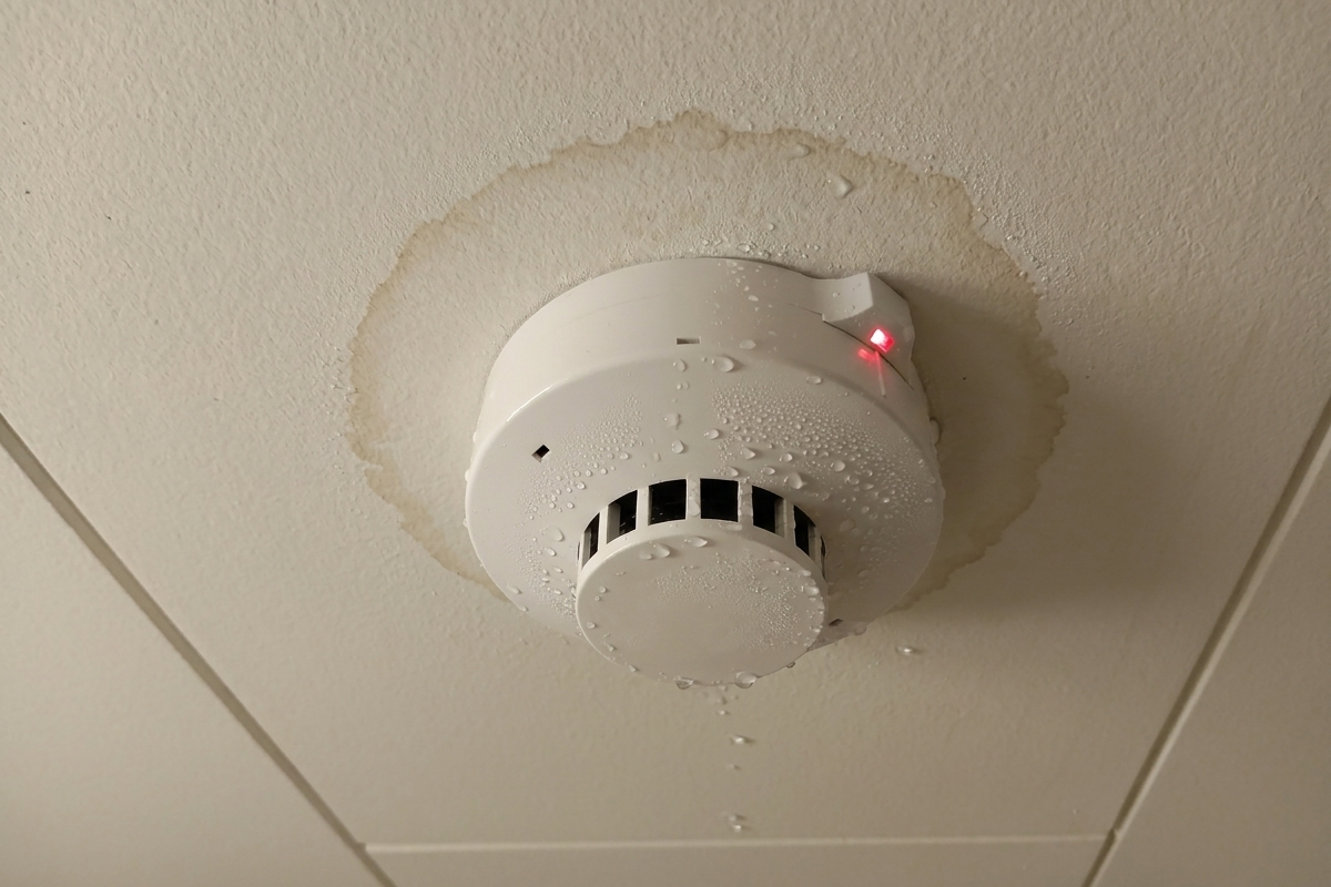 雨漏りの染みと水滴が付いた天井の煙感知器。大雨による火災報知器の誤作動の原因